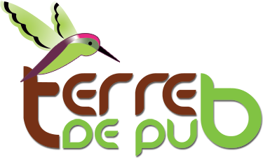 TERRE DE PUB 